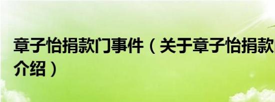 章子怡捐款门事件（关于章子怡捐款门事件的介绍）