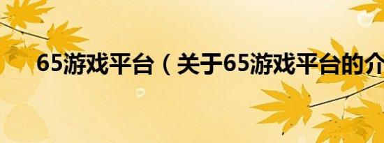 65游戏平台（关于65游戏平台的介绍）