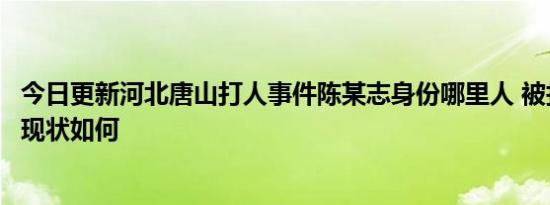 今日更新河北唐山打人事件陈某志身份哪里人 被打女子伤情现状如何