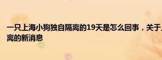 今日更新信用卡互相还款有什么后果 持卡人一定要了解