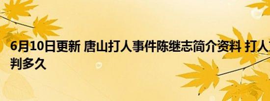 6月10日更新 唐山打人事件陈继志简介资料 打人刘某是谁会判多久