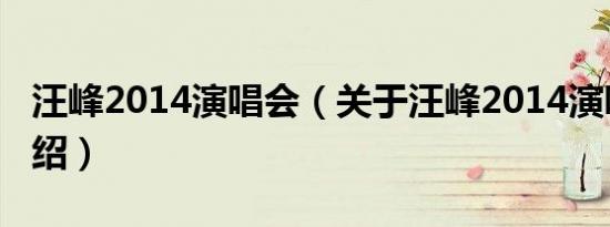 汪峰2014演唱会（关于汪峰2014演唱会的介绍）