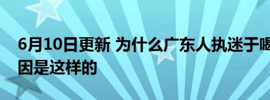 6月10日更新 为什么广东人执迷于喝早茶 原因是这样的