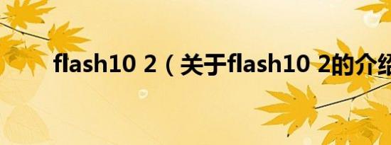 flash10 2（关于flash10 2的介绍）