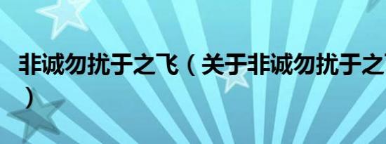 非诚勿扰于之飞（关于非诚勿扰于之飞的介绍）