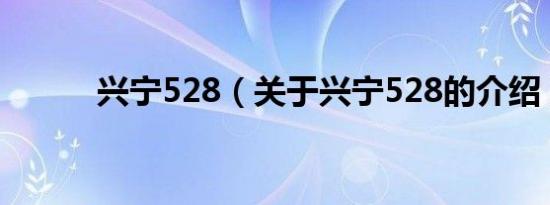 兴宁528（关于兴宁528的介绍）