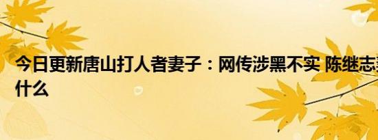 今日更新唐山打人者妻子：网传涉黑不实 陈继志妻子还说了什么