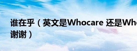 谁在乎（英文是Whocare 还是Whocares 谢谢）