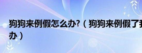 狗狗来例假怎么办?（狗狗来例假了我该怎么办）