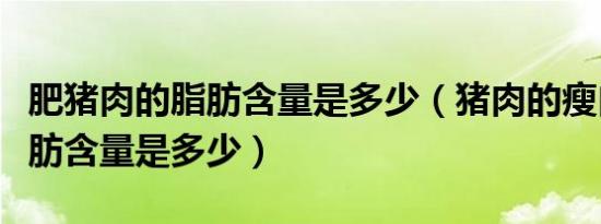 肥猪肉的脂肪含量是多少（猪肉的瘦肉中的脂肪含量是多少）