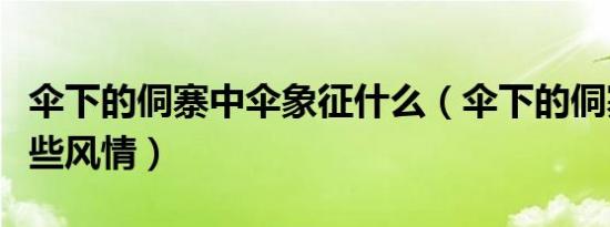 伞下的侗寨中伞象征什么（伞下的侗寨写了哪些风情）