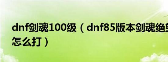 dnf剑魂100级（dnf85版本剑魂绝望100层怎么打）