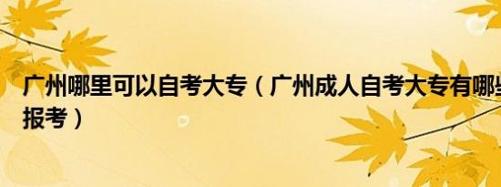 广州哪里可以自考大专（广州成人自考大专有哪些学校可以报考）