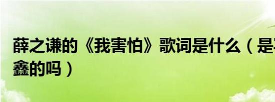 薛之谦的《我害怕》歌词是什么（是写给高磊鑫的吗）