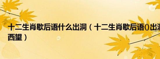 十二生肖歇后语什么出洞（十二生肖歇后语()出洞一一东张西望）