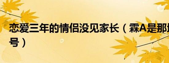 恋爱三年的情侣没见家长（霖A是那地区车牌号）