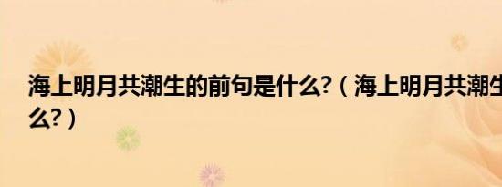 海上明月共潮生的前句是什么?（海上明月共潮生前句是什么?）