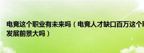 电竞这个职业有未来吗（电竞人才缺口百万这个职业的未来发展前景大吗）