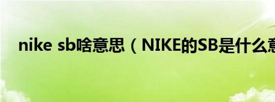 nike sb啥意思（NIKE的SB是什么意思）