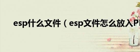 esp什么文件（esp文件怎么放入PPT）