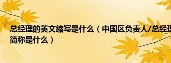 总经理的英文缩写是什么（中国区负责人/总经理英文商务简称是什么）