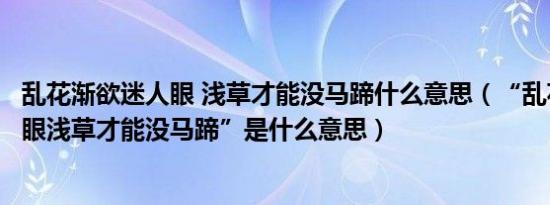 乱花渐欲迷人眼 浅草才能没马蹄什么意思（“乱花渐欲迷人眼浅草才能没马蹄”是什么意思）