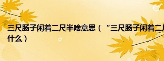 三尺肠子闲着二尺半啥意思（“三尺肠子闲着二尺五”形容什么）