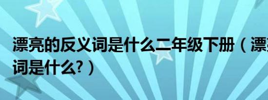 漂亮的反义词是什么二年级下册（漂亮的反义词是什么?）