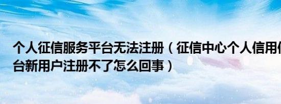 个人征信服务平台无法注册（征信中心个人信用信息服务平台新用户注册不了怎么回事）