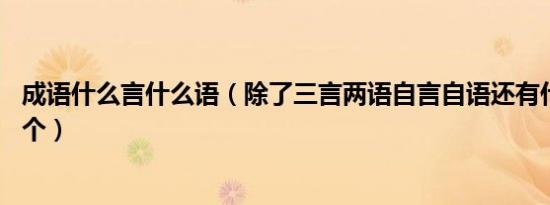 成语什么言什么语（除了三言两语自言自语还有什么 在写四个）