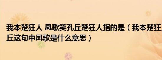 我本楚狂人 凤歌笑孔丘楚狂人指的是（我本楚狂人凤歌笑孔丘这句中凤歌是什么意思）