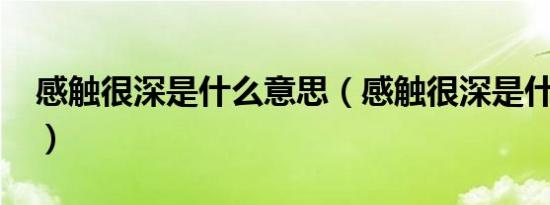 感触很深是什么意思（感触很深是什么意思?）