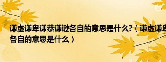 谦虚谦卑谦恭谦逊各自的意思是什么?（谦虚谦卑谦恭谦逊各自的意思是什么）