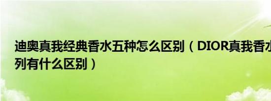 迪奥真我经典香水五种怎么区别（DIOR真我香水的几个系列有什么区别）