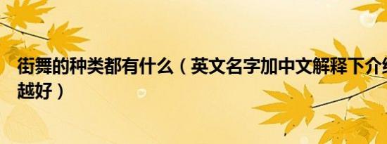 街舞的种类都有什么（英文名字加中文解释下介绍的越详细越好）