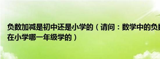 负数加减是初中还是小学的（请问：数学中的负数加减法是在小学哪一年级学的）