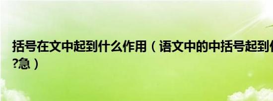 括号在文中起到什么作用（语文中的中括号起到什么的作用?急）