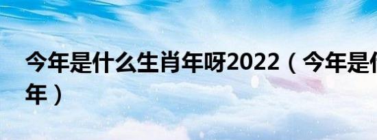 今年是什么生肖年呀2022（今年是什么生肖年）