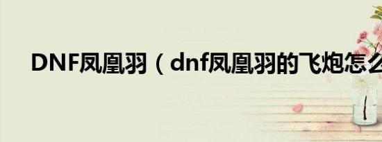 DNF凤凰羽（dnf凤凰羽的飞炮怎么弄）