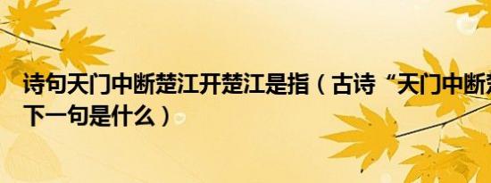 诗句天门中断楚江开楚江是指（古诗“天门中断楚江开”的下一句是什么）