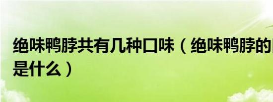 绝味鸭脖共有几种口味（绝味鸭脖的口味特色是什么）