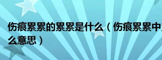 伤痕累累的累累是什么（伤痕累累中累累是什么意思）