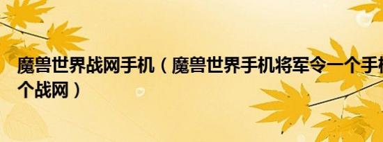 魔兽世界战网手机（魔兽世界手机将军令一个手机能绑定几个战网）