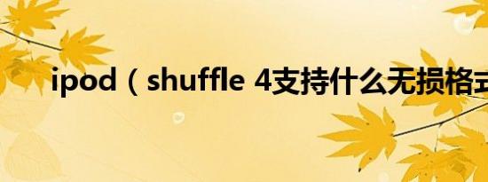 ipod（shuffle 4支持什么无损格式?）