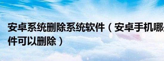 安卓系统删除系统软件（安卓手机哪些系统软件可以删除）