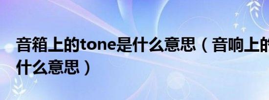 音箱上的tone是什么意思（音响上的tone是什么意思）