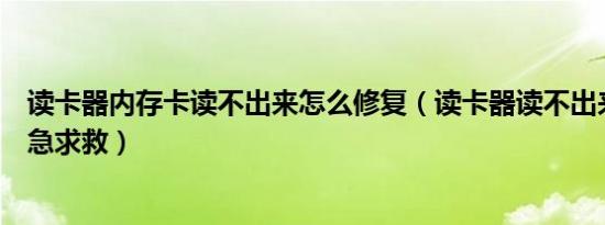 读卡器内存卡读不出来怎么修复（读卡器读不出来内存卡紧急求救）