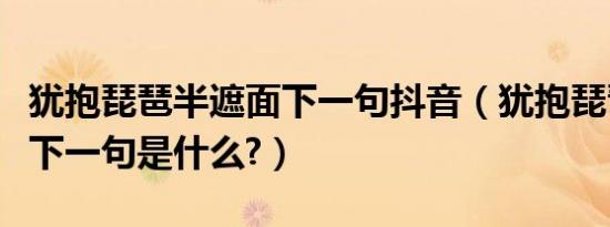 犹抱琵琶半遮面下一句抖音（犹抱琵琶半遮面下一句是什么?）