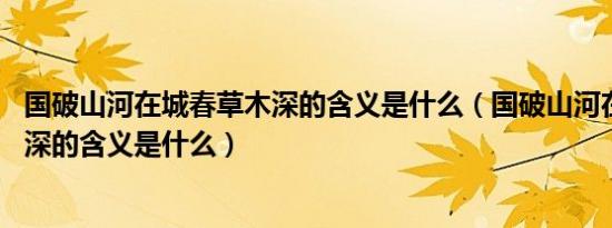 国破山河在城春草木深的含义是什么（国破山河在,城春草木深的含义是什么）