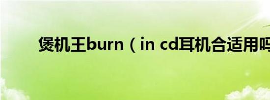 煲机王burn（in cd耳机合适用吗）